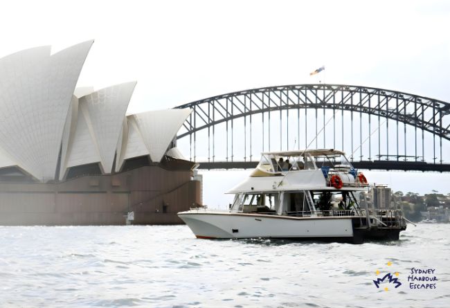 CURIOUS GEORGE hero image